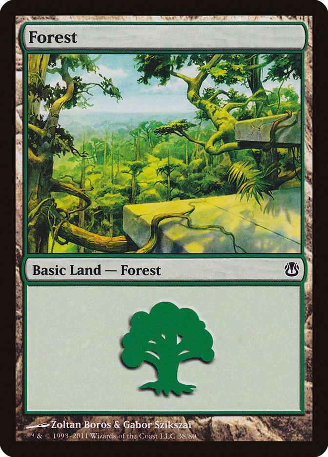 Forest (38)