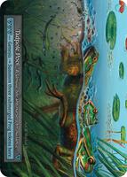 Tadpole Pool — Beta