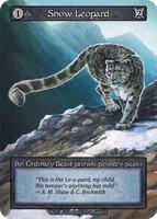 Snow Leopard — Beta