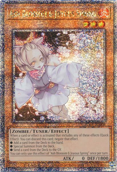 The Most Expensive Quarter Century Secret Rares In Yu-Gi-Oh