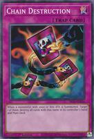pokemon cards graded Premium Vintage Graded Pokmon Cards