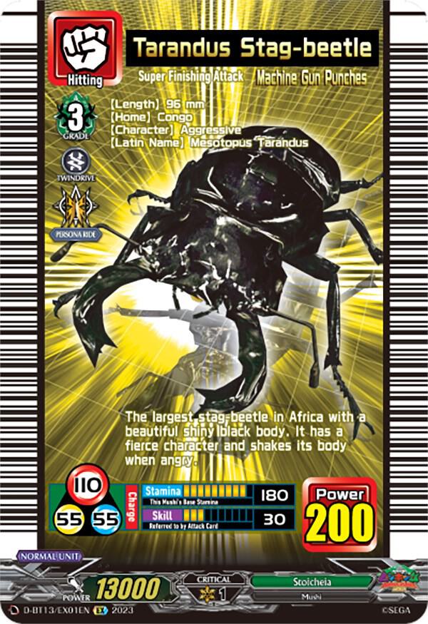 Tarandus Stag-beetle