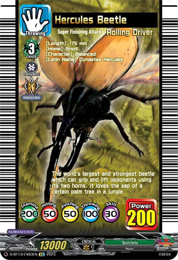 Hercules Beetle