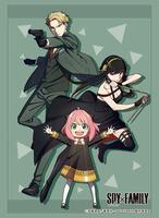 spy x family card sleeves Movic x Chara Sleeve Collection Matte Series - [MT1516] " the color is remarkably improved compared to the conventional silver printed sleeves GAME ACADEMIA | CARD SLEEVES