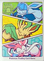 Pokemon TCG: 2023 North American International Championship Card