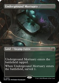 Underground Mortuary (Borderless)