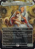 TCGplayer: Shop Magic: The Gathering Cards, Packs, Booster Boxes