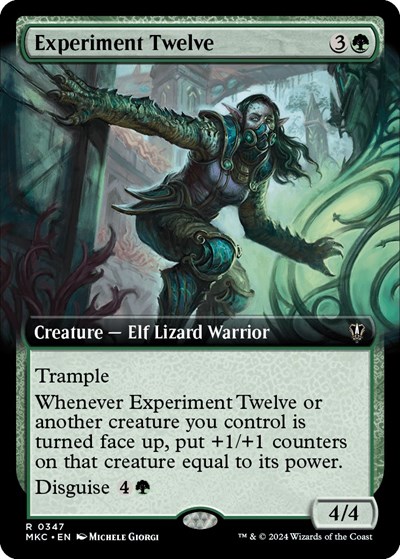 Experiment Twelve Extended Art