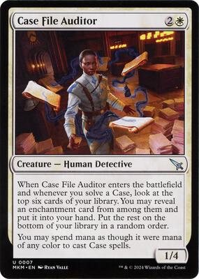 Case File Auditor