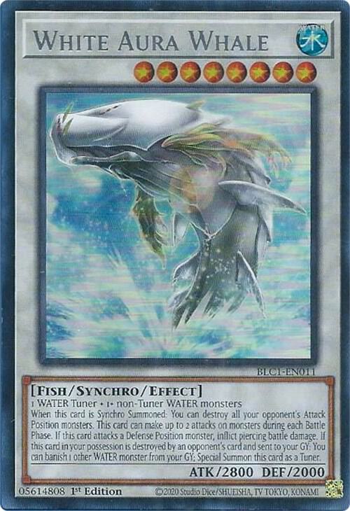 White Aura Whale
