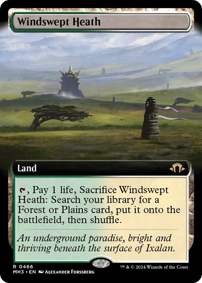 Windswept Heath Extended Art