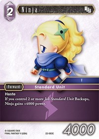 Ninja (Hidden Hope)