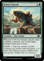 Drover Grizzly - Outlaws of Thunder Junction - Magic: The