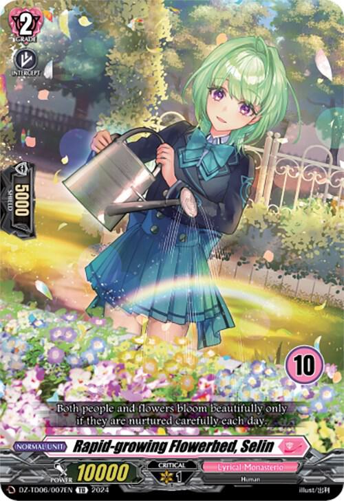 Rapid-growing Flowerbed, Selin (10)