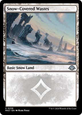 Snow-Covered Wastes