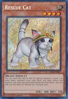 Rescue Cat (Alternate Art) (Secret Rare) - 25th Anniversary Rarity