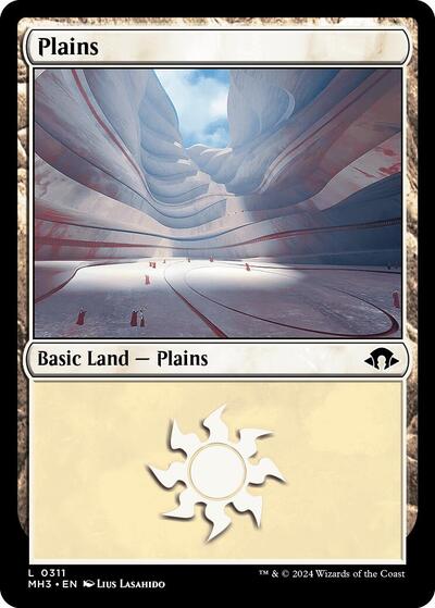 Plains 0311