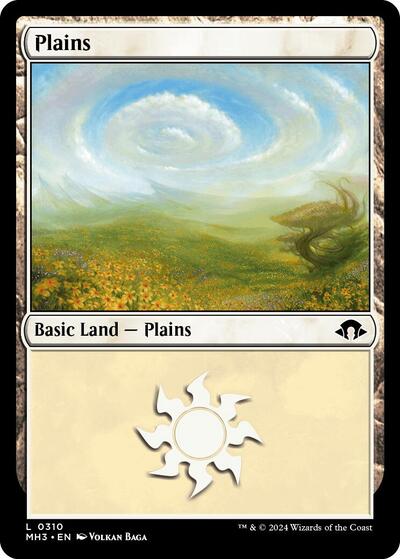 Plains 0310