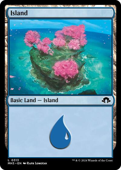 Island 0313