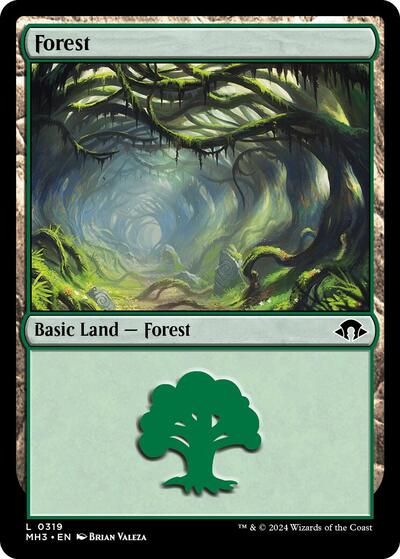Forest 0319