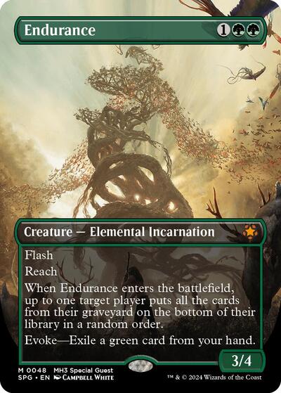 Endurance Borderless