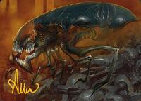 Cranial Ram Art Card (Gold-Stamped Signature)