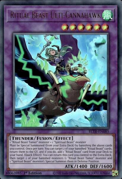 Yu-Gi-Oh! Spiritual Beast Cannahawk (THSF-EN027) – Super Rare 1st Edition Card From The Secret Forces - View #8