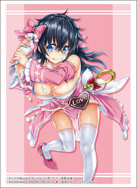 Bushiroad Sleeve Collection HG Vol.4172: And You Thought There is Never a Girl O · Bushiroad Card Sleeves