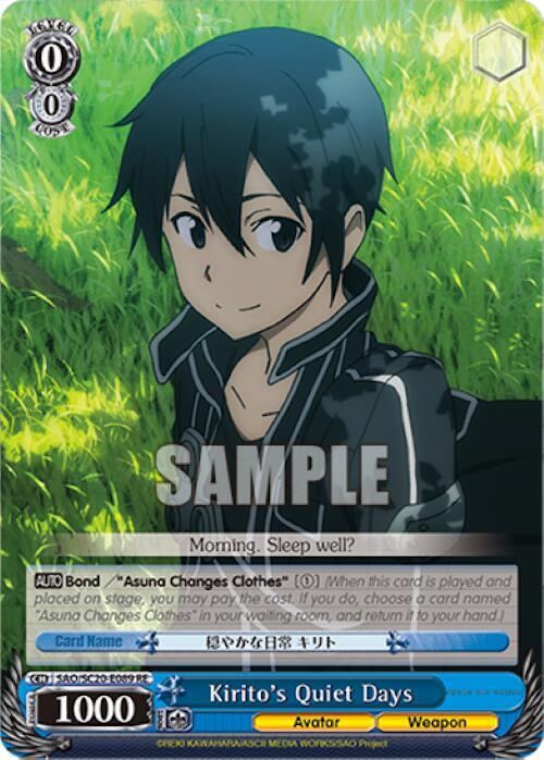 Kirito's Quiet Days