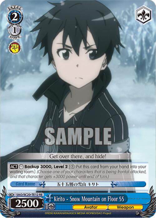 Kirito - Snow Mountain on Floor 55 (TD)