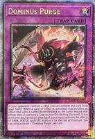 Dominus Purge (Quarter Century Secret Rare) - The Infinite