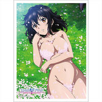 Curtain Damashii Imported Card Sleeves Curtain Damashii: Strike the Blood - Yukina Himeragi (65-Sleeves)