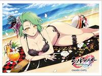 Curtain Damashii: Shinobi Master Senran Kagura: New Link - Hikage (65- Sleeves) - Curtain Damashii Imported Card Sleeves - Card Sleeves -  TCGplayer.com