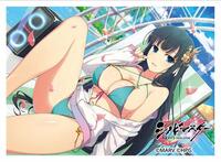 Key-th Imported Card Sleeves Key-th: Shinobi Master Senran Kagura: New Link - Ikaruga / Legendary Bakunyuusai (65-Sleeves)