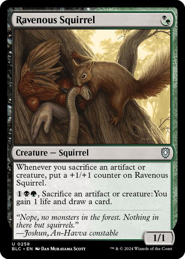 Ravenous Squirrel - Commander: Bloomburrow - Magic: The Gathering