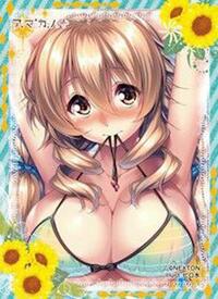 Nexton Imported Card Sleeves NEXTON Girls Sleeve Collection Vol.068: Amakano+ - Koharu Hoshikawa B (60-Pack)