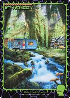 Forest (1656) - Secret Lair Drop Series - Magic: The Gathering