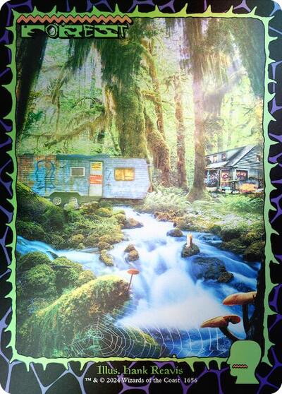 Forest 1656 Rainbow Foil