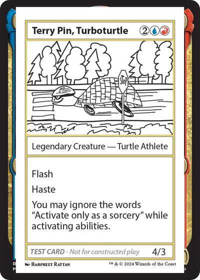 Terry Pin Turboturtle