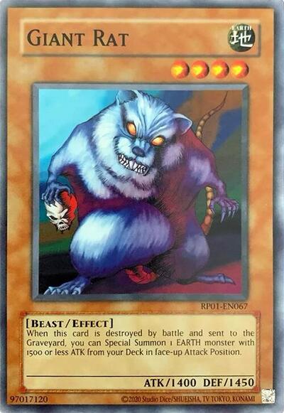 Giant Rat