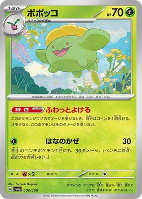 2023 Skiploom #6