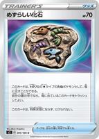 Rare Fossil