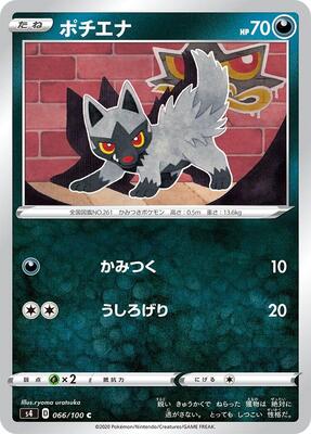 2004 Team Magma & Team Aqua Poochyena #66 card