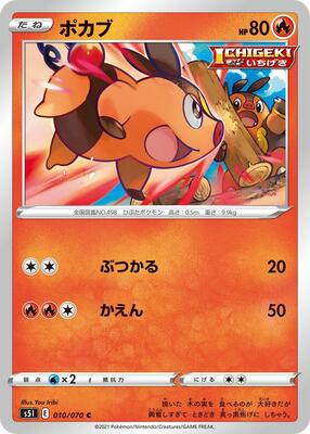 2021 Tepig #10