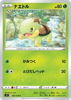Turtwig