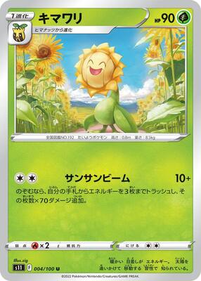 2022 Sunflora #4