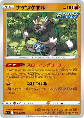 2021 Passimian #43