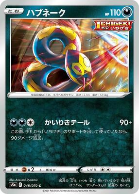 2021 Seviper #48