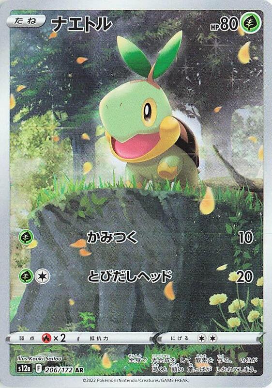 Turtwig - 206/172