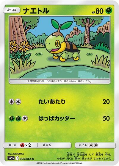 Turtwig